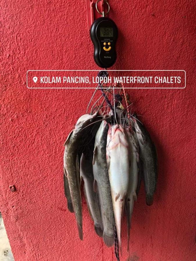 Lopoh Waterfront Budget Chalets Villa Hulu Langat Exterior foto